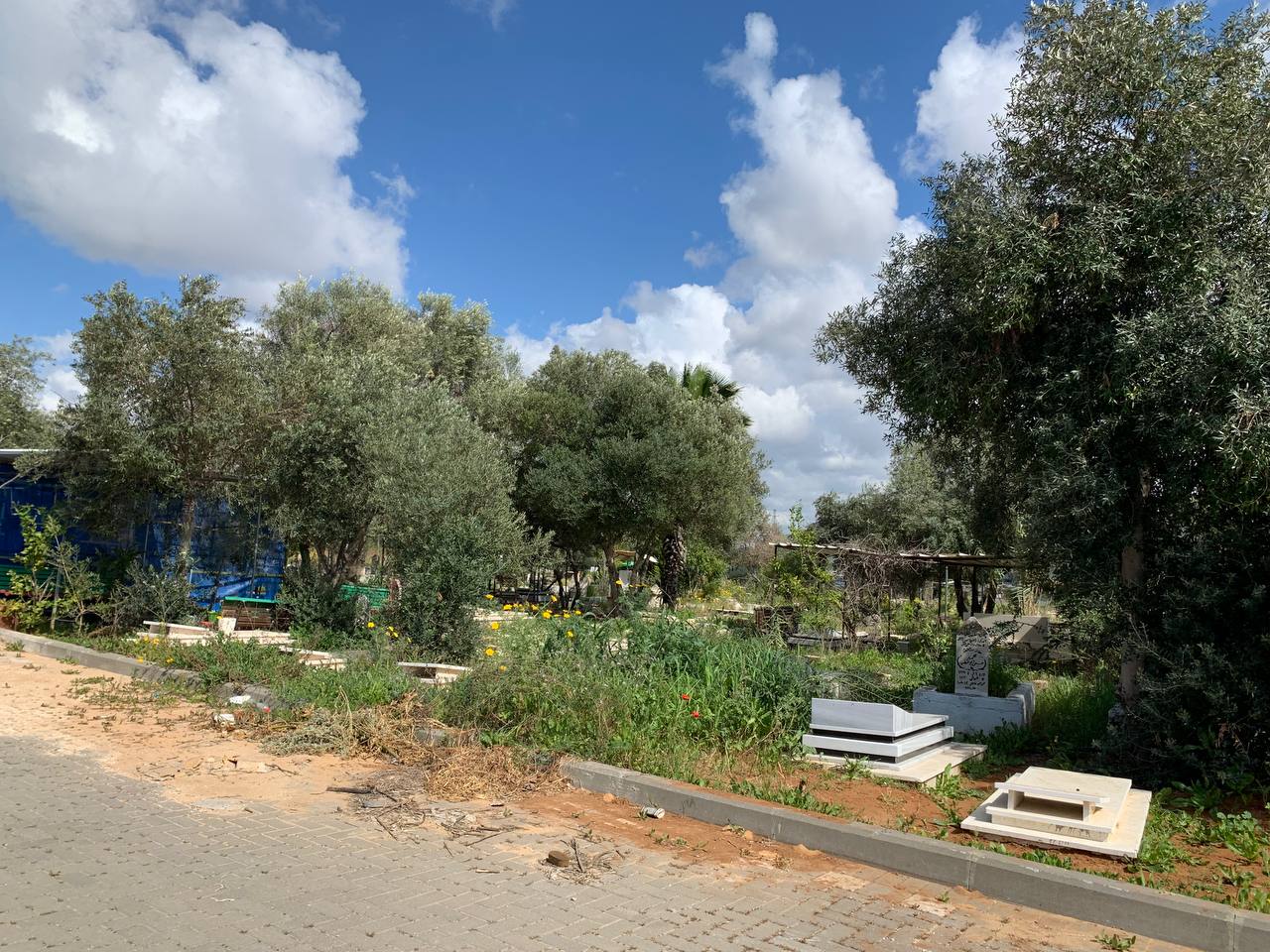 photo1678276195 (20).jpeg